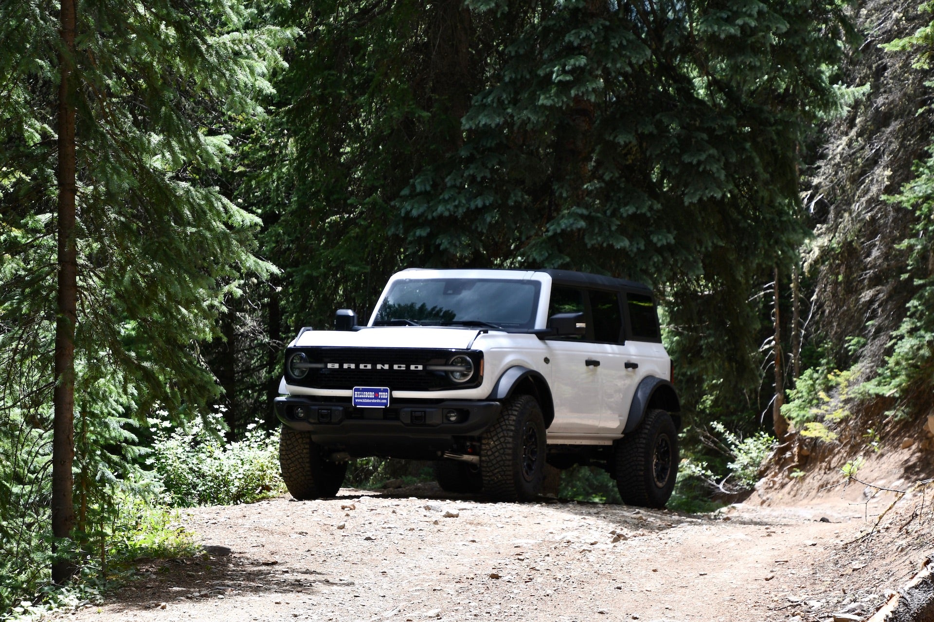 Off-Road 101: A Comprehensive Guide for New Ford Bronco Owners